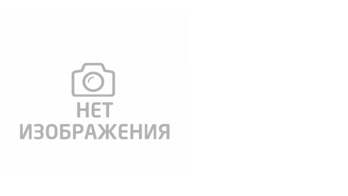 37 17 95. 5490-3716019. Номер телефона. Изображение no image. Hg.