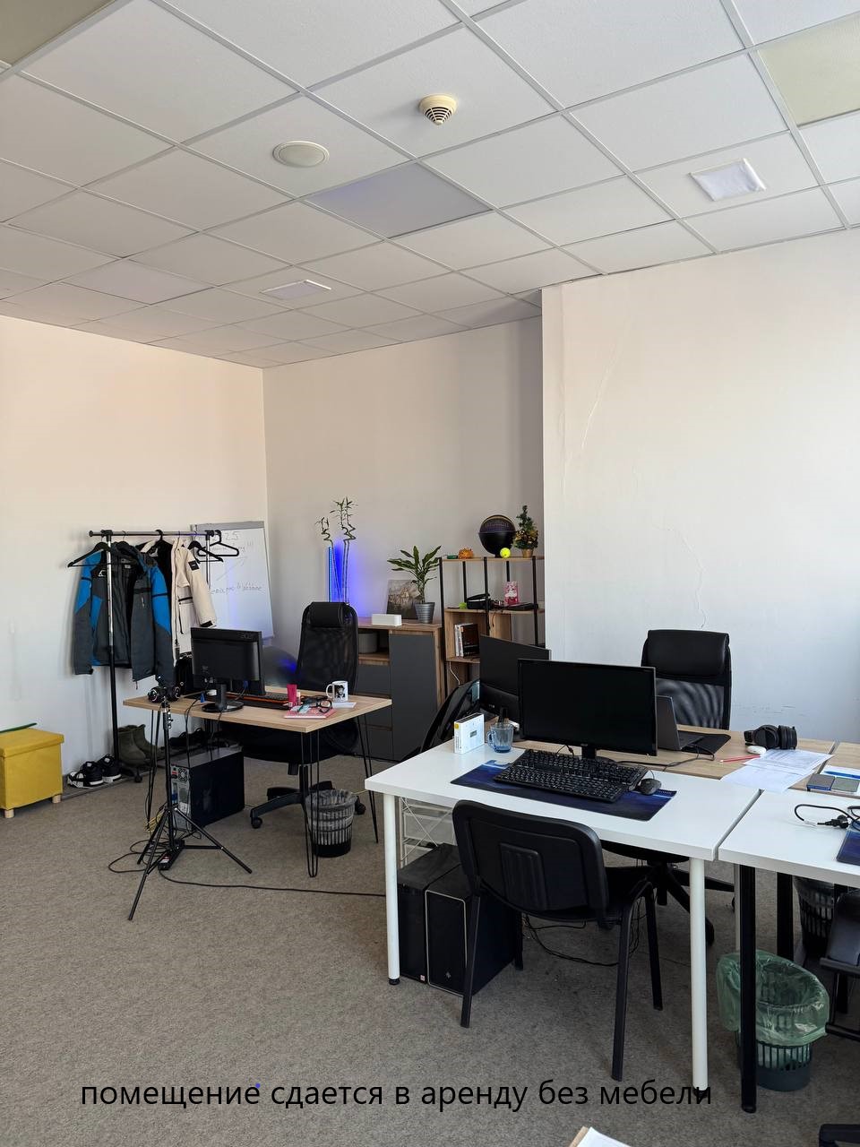 Торги №1494172 Лот №3712236 Нежилое помещение №80а - торги по банкротству 6