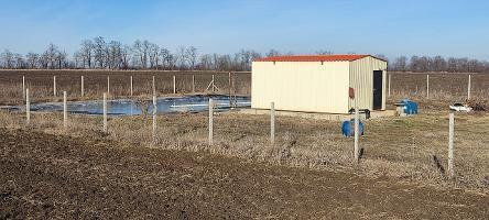 Торги №1653224 Лот №4014065 Сад интенсивного типа - торги по банкротству 1