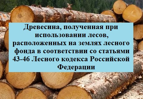 Торги №1653235 Лот №4014074 Продажа древесины - торги по банкротству 1