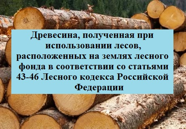 Торги №1653239 Лот №4014083 Итого по лоту – 5705,3 куб. м. древесины. - торги по банкротству 1