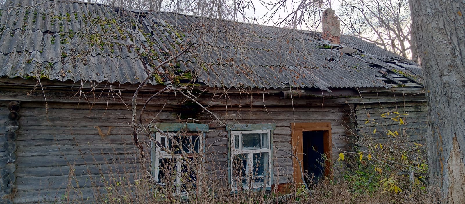 Торги №1654420 Лот №4016604 Нежилое здание с земельным участком по адресу: - торги по банкротству 3