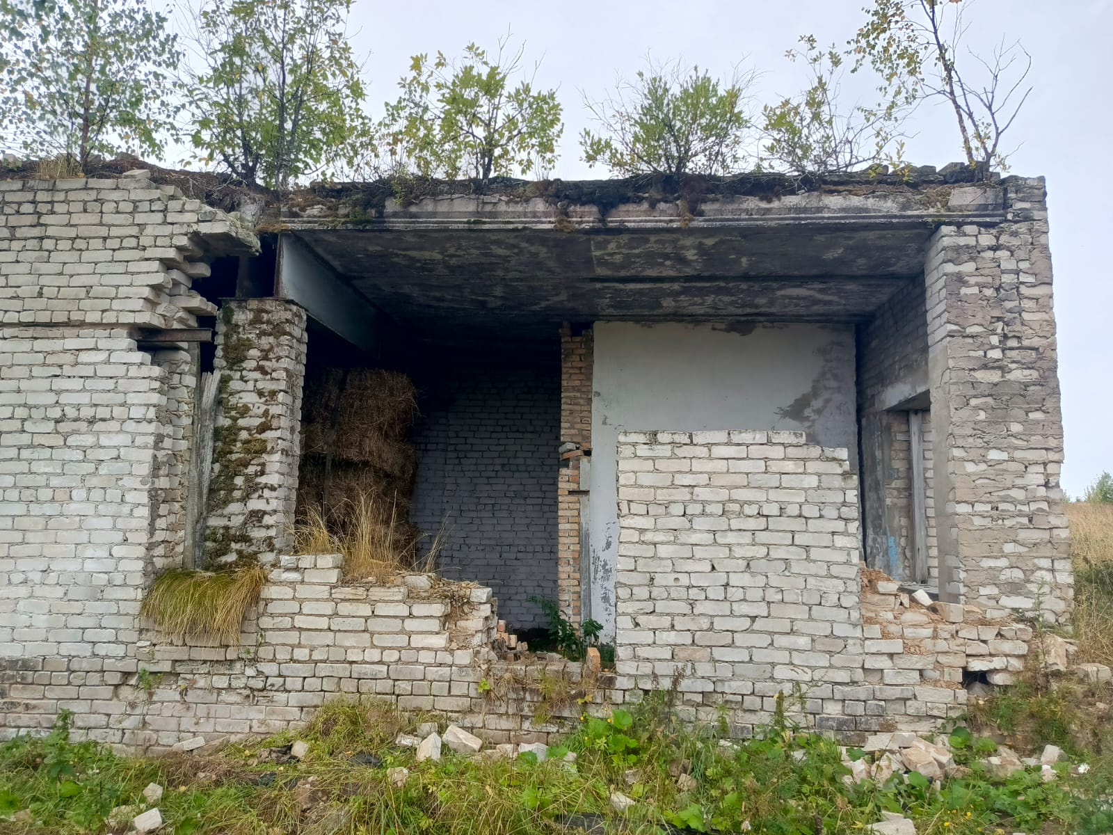 Торги №1654423 Лот №4016634 Право заключения договора аренды недвижимого - торги по банкротству 2