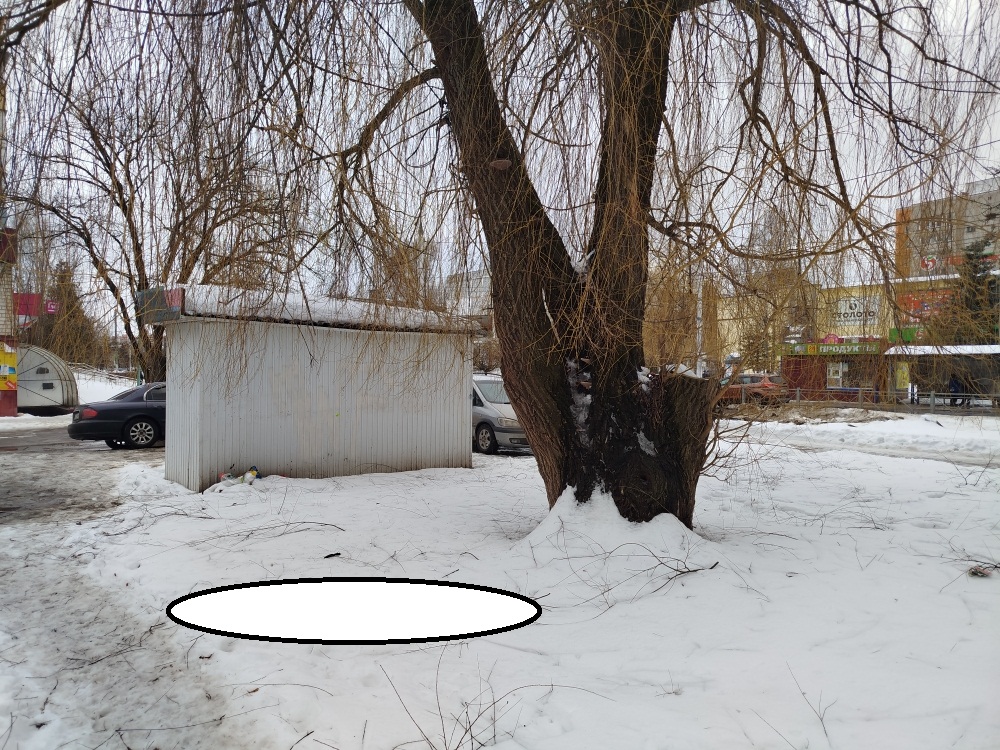 Торги №1661159 Лот №4031914 Право заключения договора на размещение - торги по банкротству 2