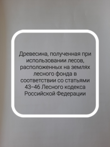 Торги №1662175 Лот №4033717 Информационное сообщение о продаже древесины - торги по банкротству 1
