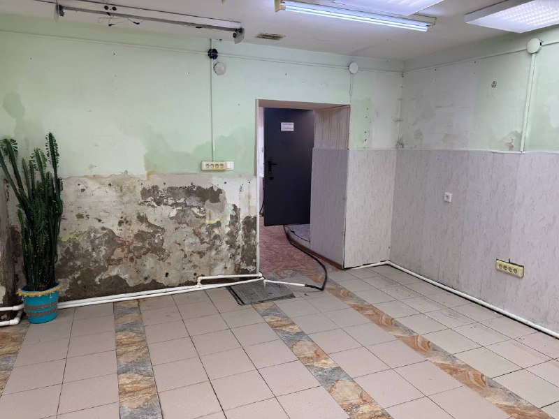 Торги №1662849 Лот №4035554 Нежилое помещение, площадью 56,8 кв.м - торги по банкротству 1