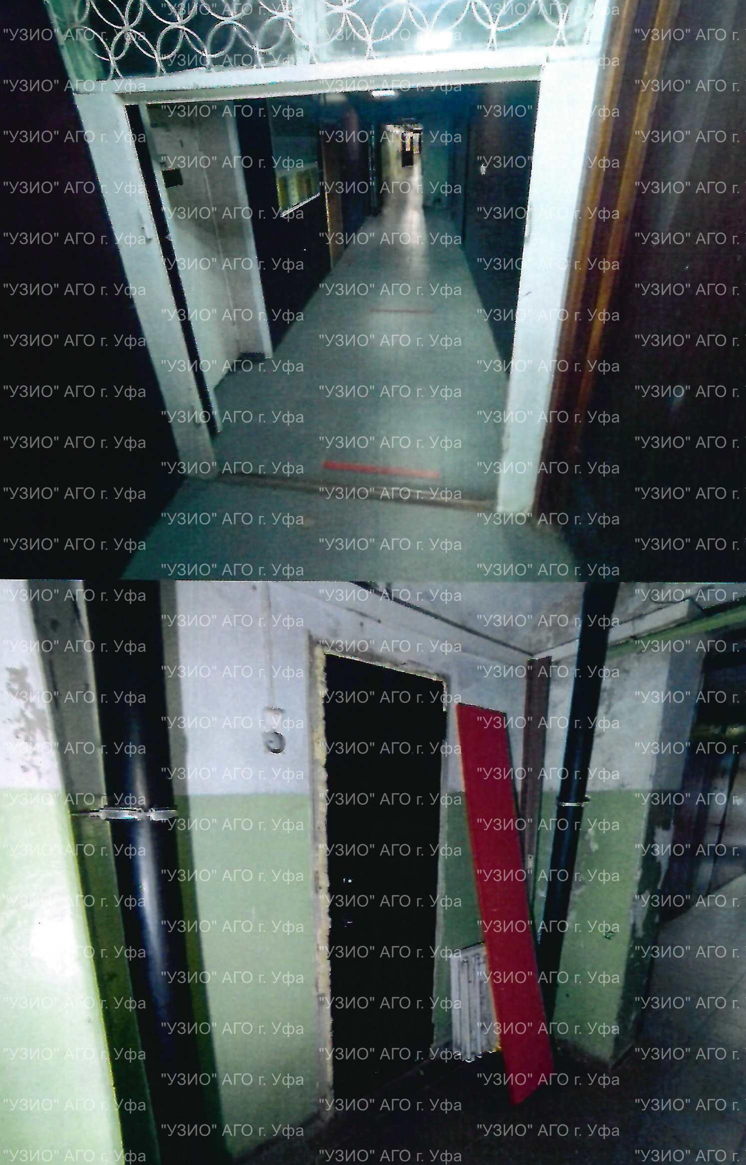 Торги №1662930 Лот №4035776 Право на заключение договора аренды объекта - торги по банкротству 4