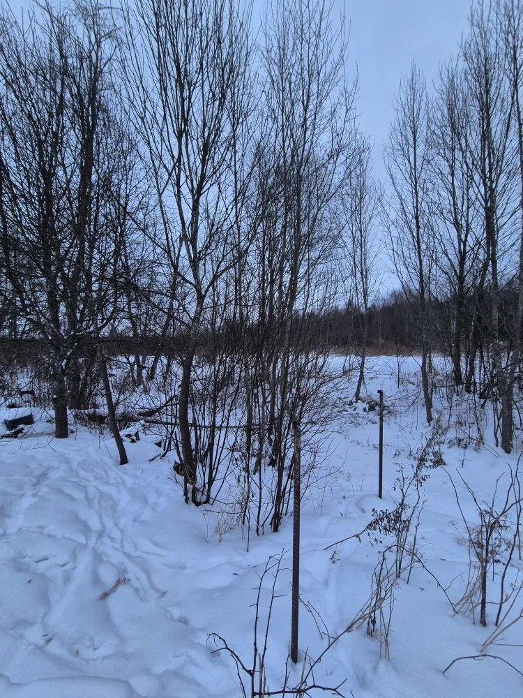 Торги №1662953 Лот №4035831 Лот № 12 . - торги по банкротству 2