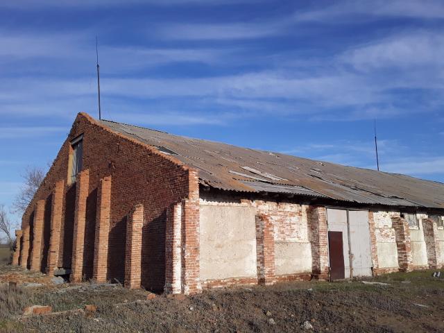 Лот 4011808