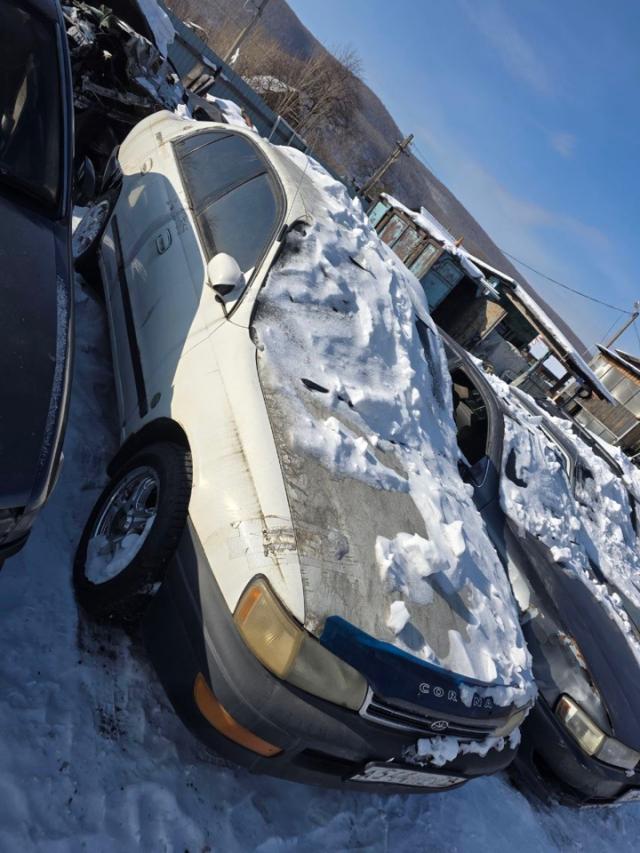 Лот 4013010