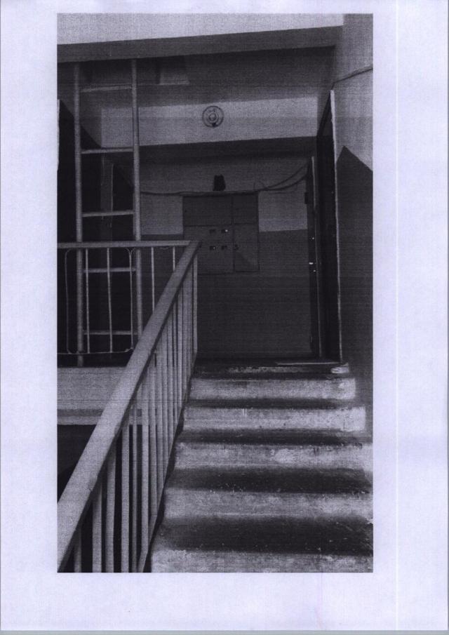 Лот 4013065
