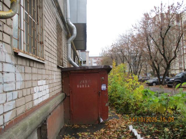 Лот 4013181