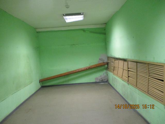 Лот 4013181