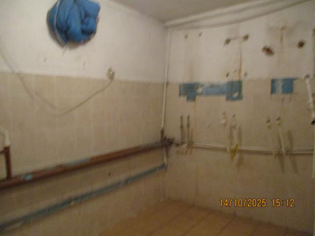 Лот 4013181