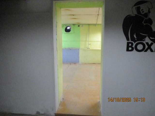 Лот 4013181