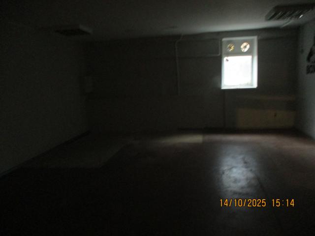 Лот 4013181
