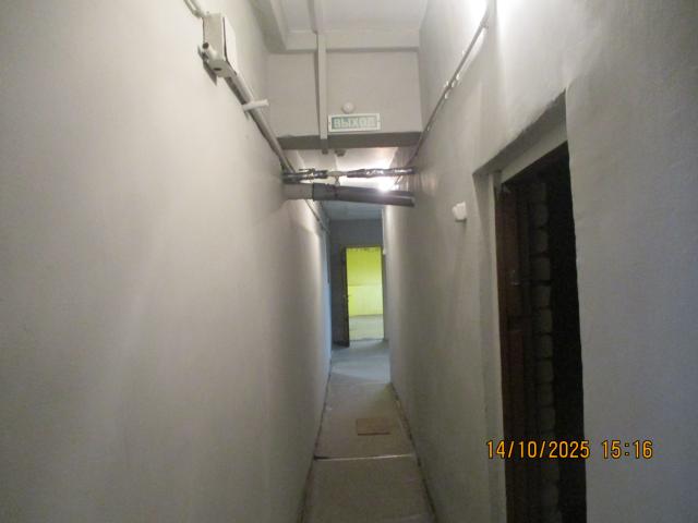 Лот 4013181