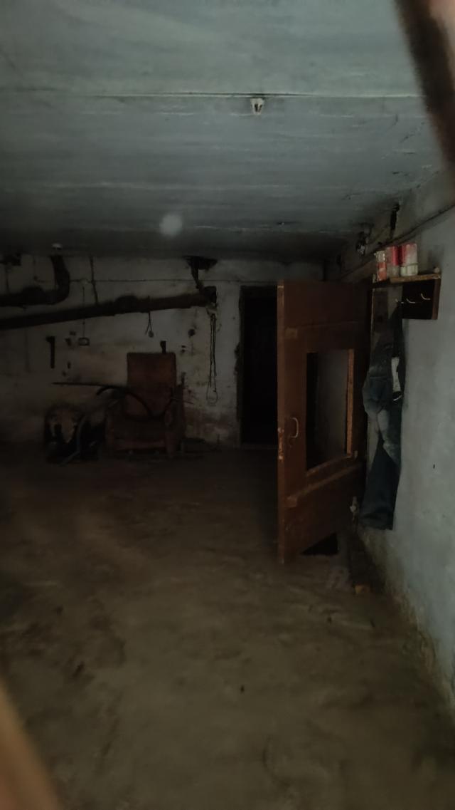 Лот 4013312