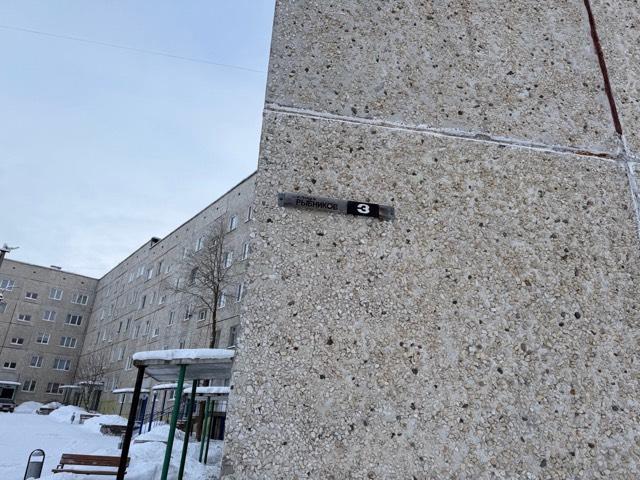 Лот 4013381