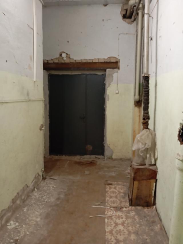 Лот 4013383