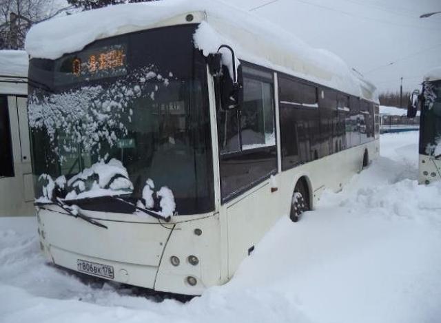 Лот 4013723