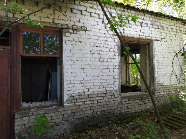 Лот 4013879