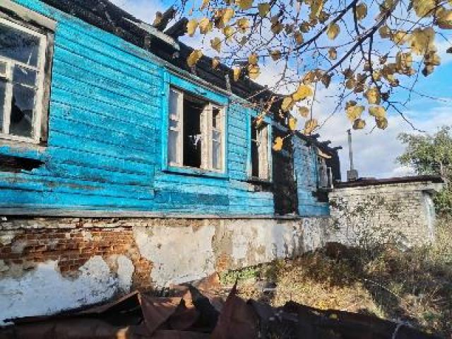 Лот 4013989