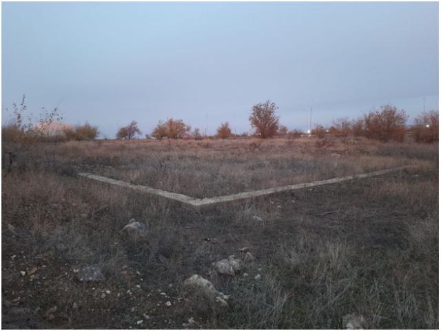 Лот 4015982