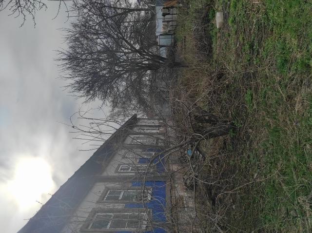 Лот 4016459