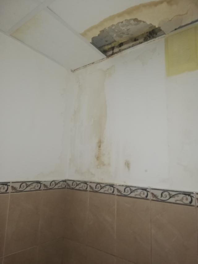 Торги №1654599 Лот №4017013 Помещение площадью 23,7 м2 - торги по банкротству 2