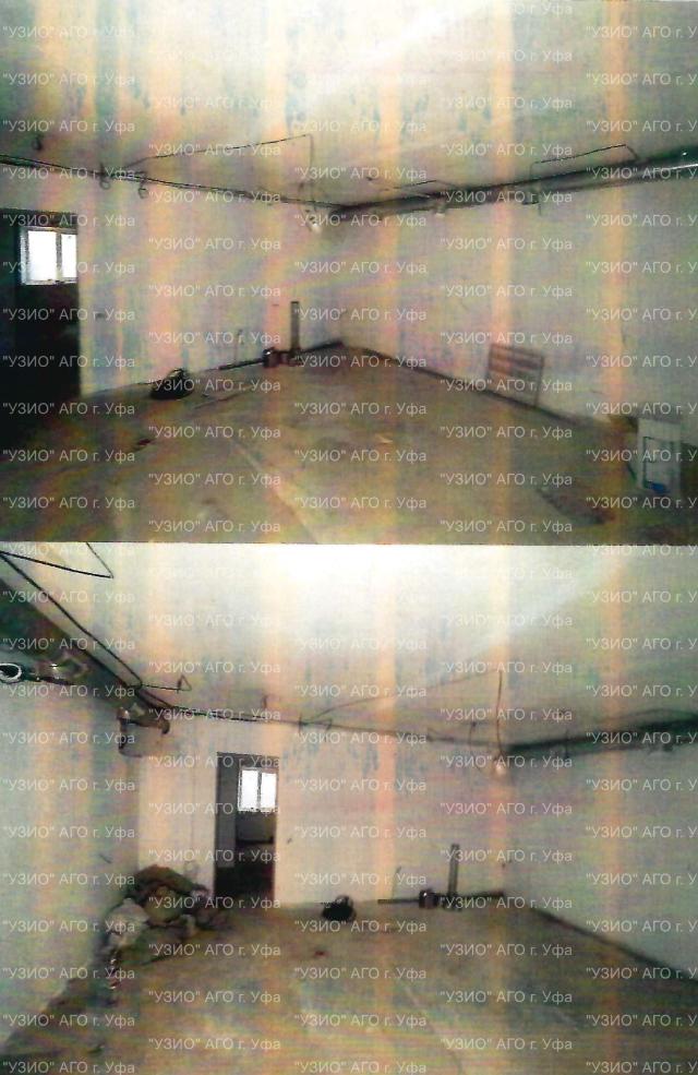 Лот 4017453