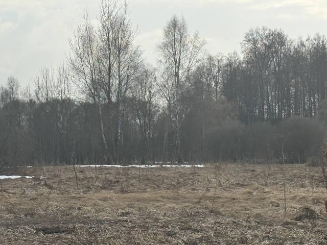 Лот 4017675