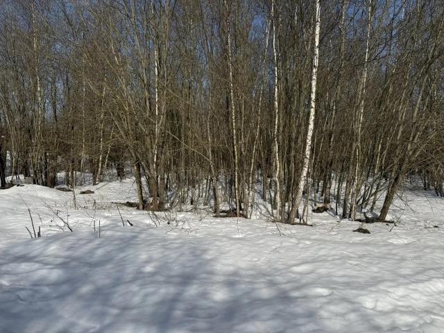 Лот 4017906