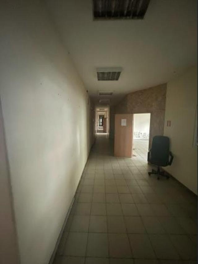 Лот 4018159