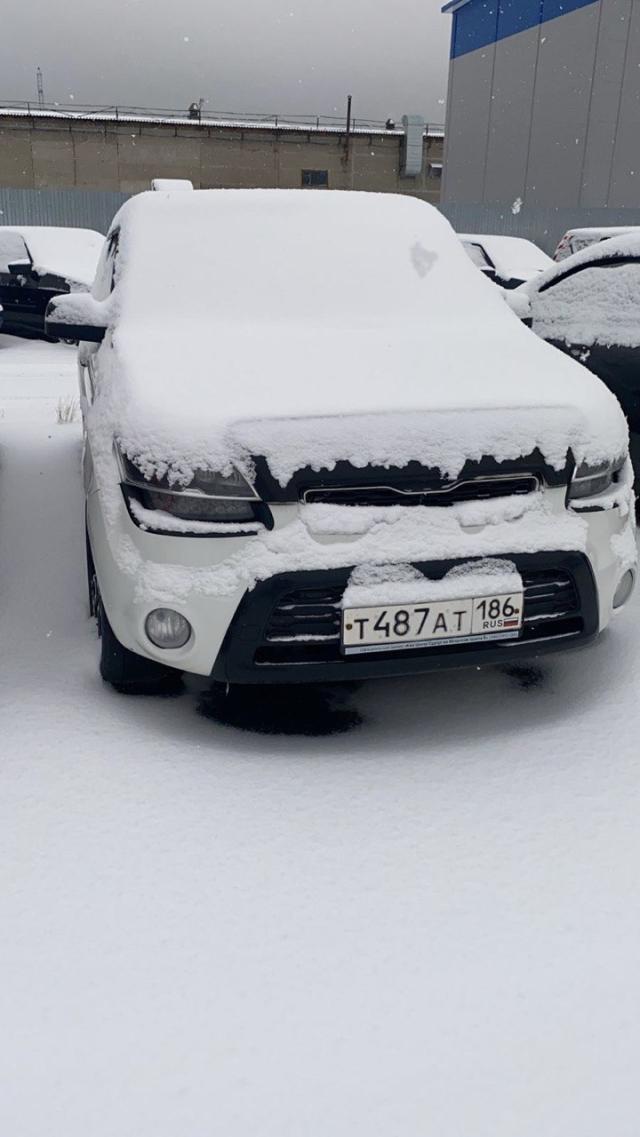 Лот 4018428