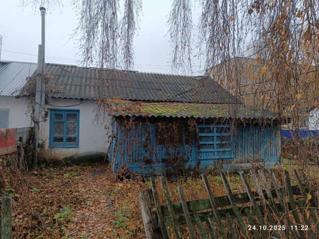Лот 4018476