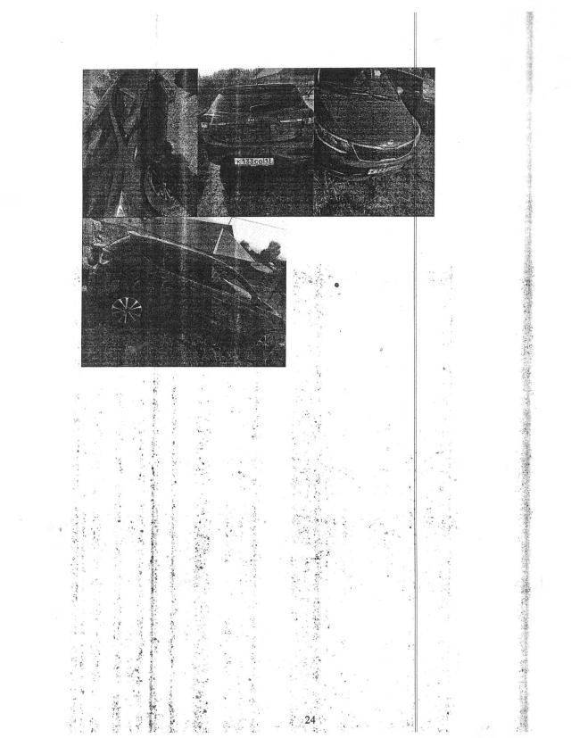 Лот 4019001