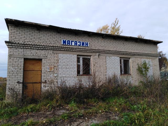 Лот 4020331