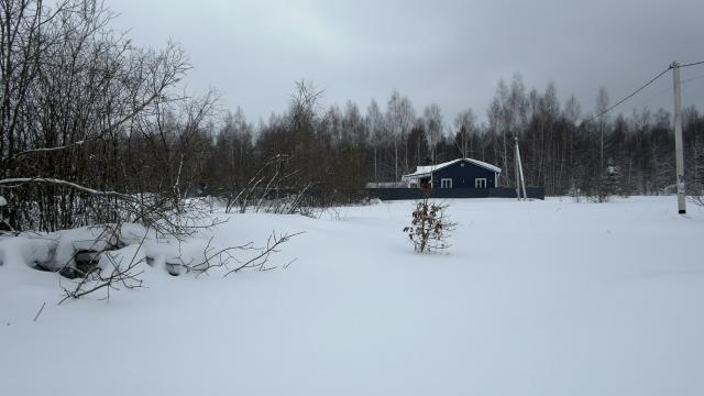 Лот 4023910