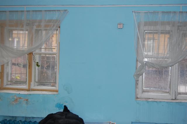 Лот 4023989