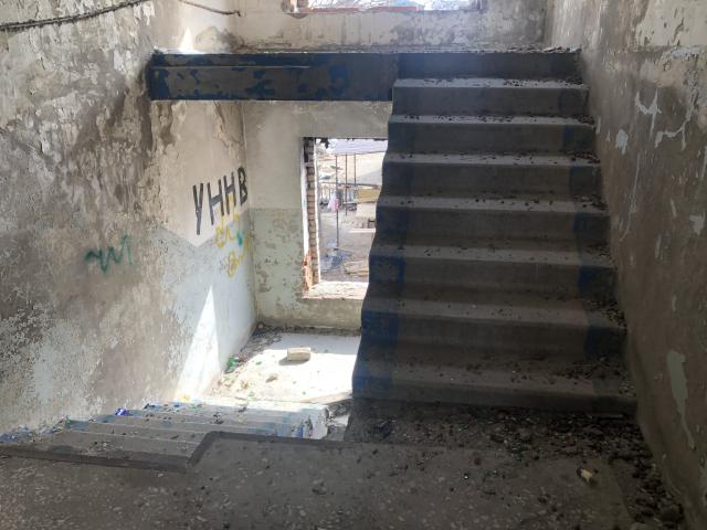 Лот 4024548