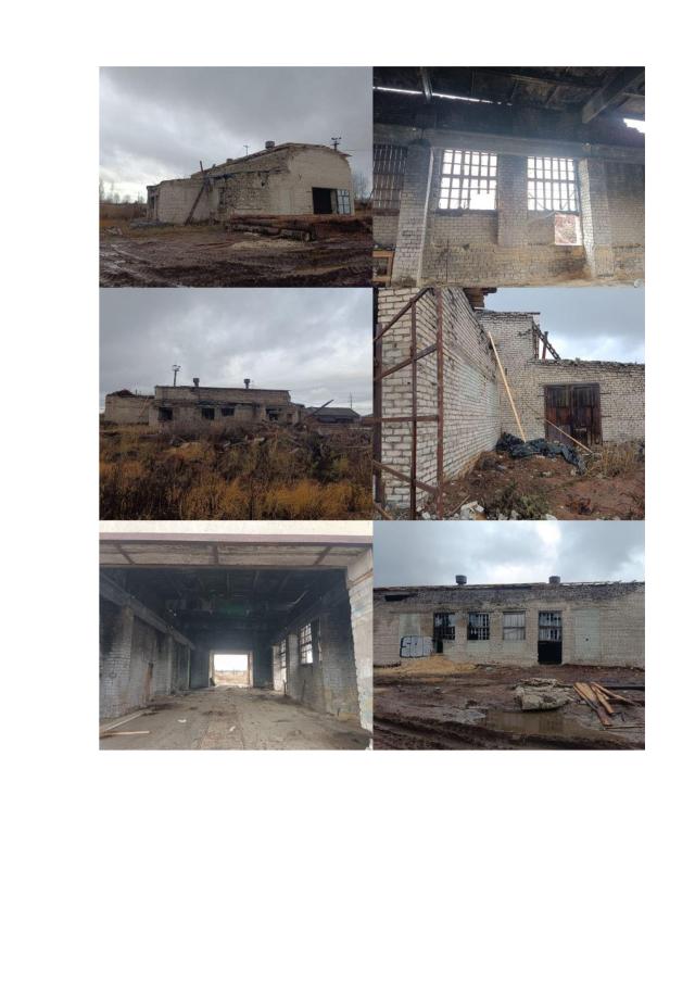 Лот 4024602