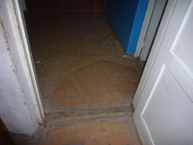 Лот 4025343