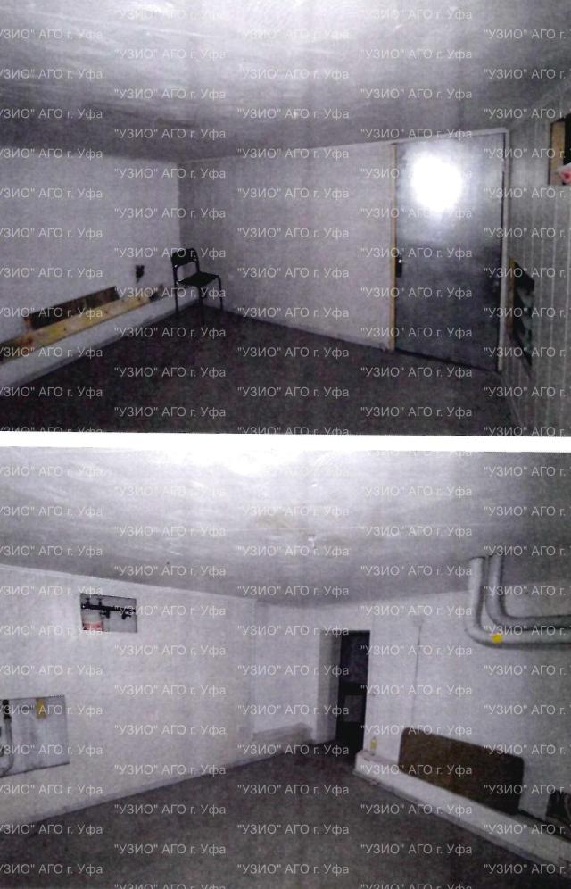 Лот 4025483