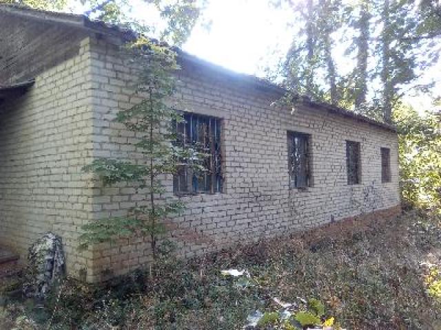 Лот 4026851