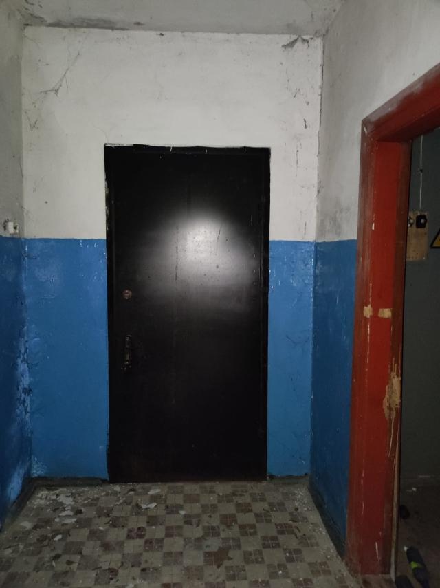 Лот 4027175