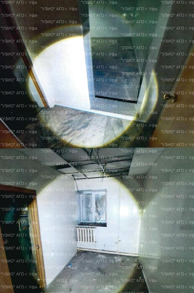 Лот 4027366