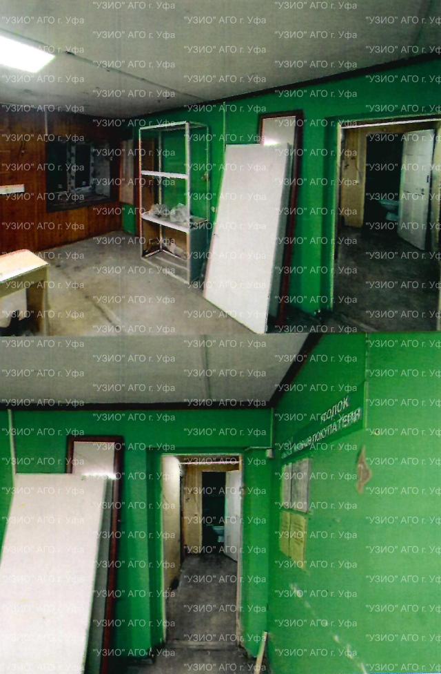 Лот 4027369
