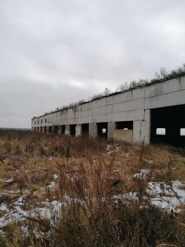 Лот 4028745