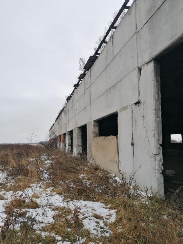Лот 4028745